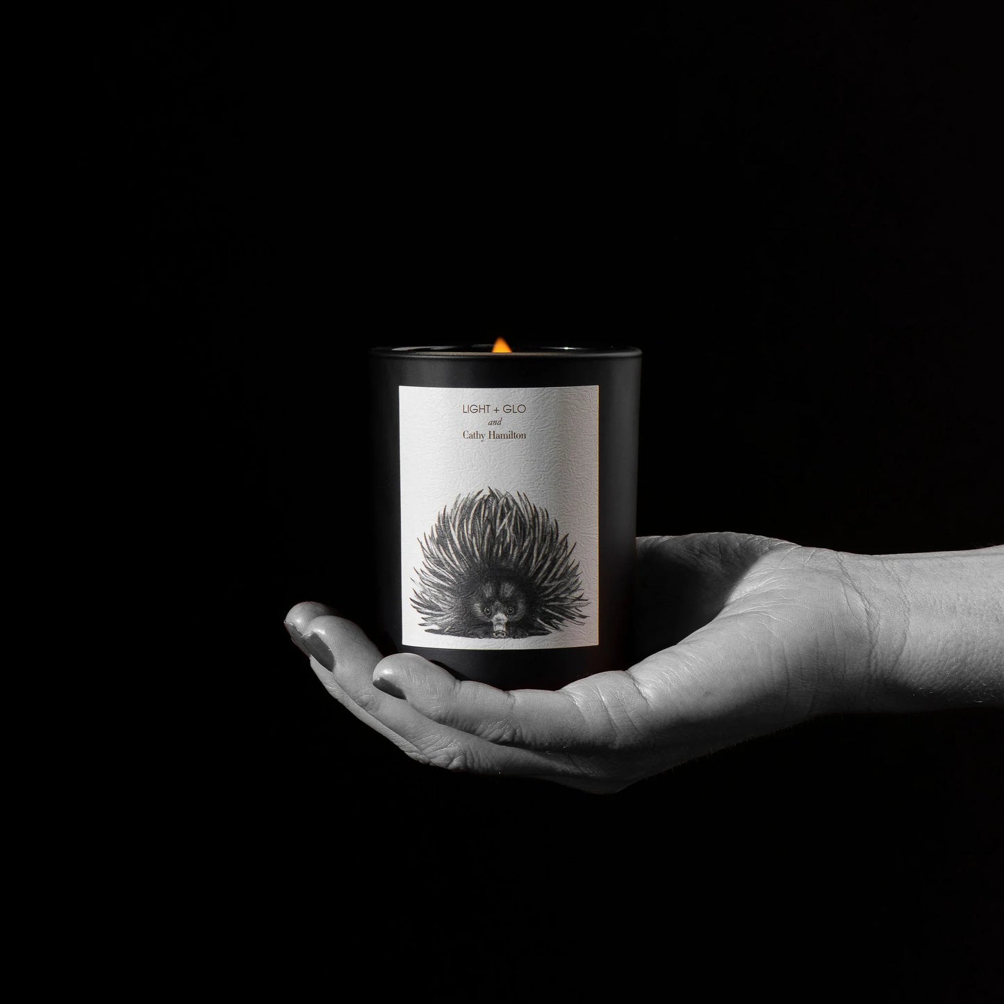 Cathy Hamilton Candle - Echidna