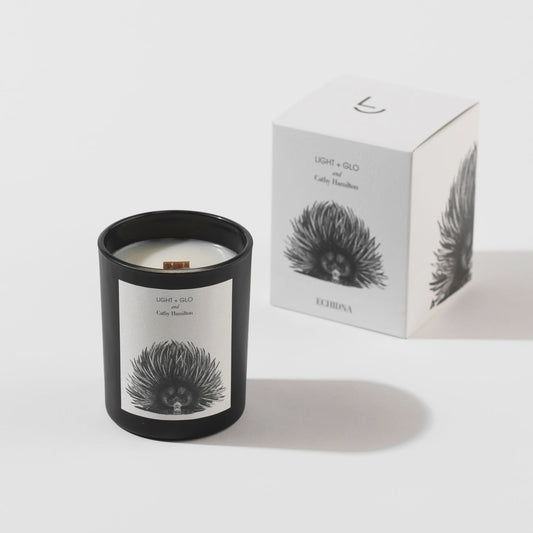 Cathy Hamilton Candle - Echidna