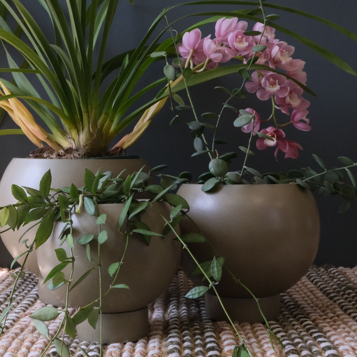 Small Orbit Plant Pot - Jade