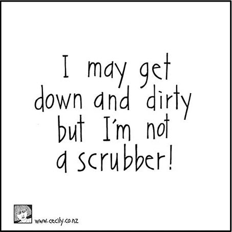 Cleaning Cloth - No Scrubber