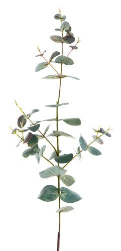Eucalyptus Spray 74cm - Dark Green