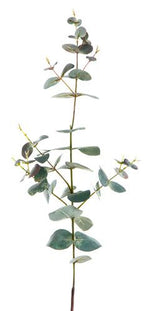 Eucalyptus Spray 74cm - Dark Green