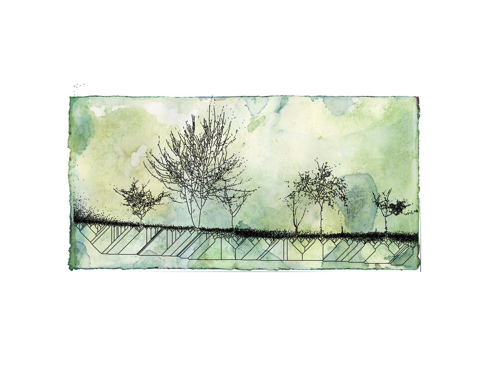 6x8 Print - Evergreen Landscape