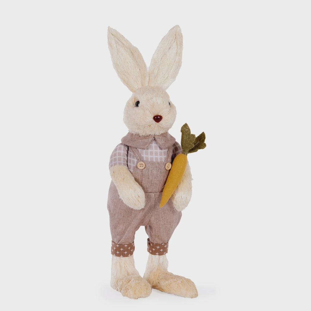 Harvey Bunny with Carrot Sand