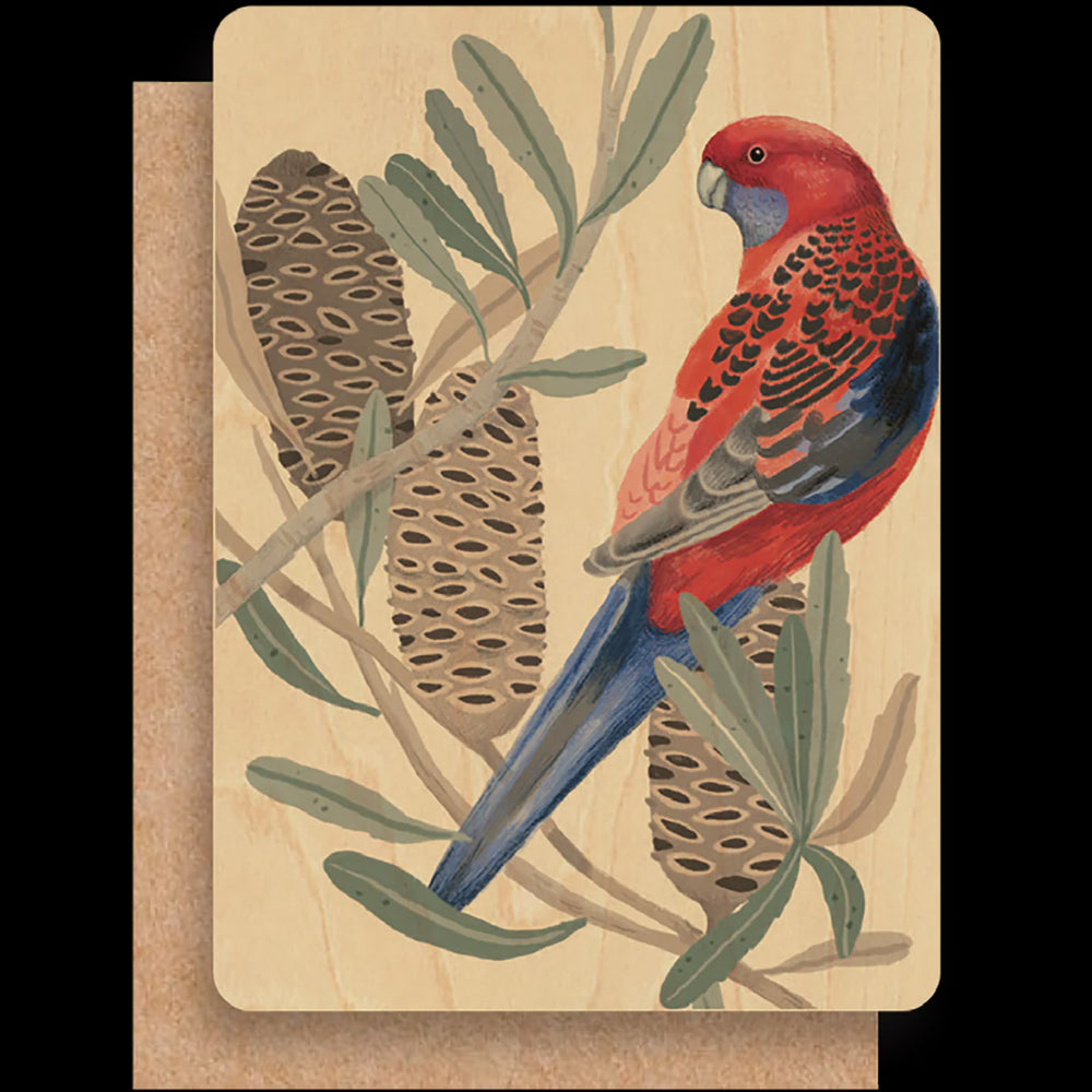 Wood Greeting Card - Rosella With Banksia