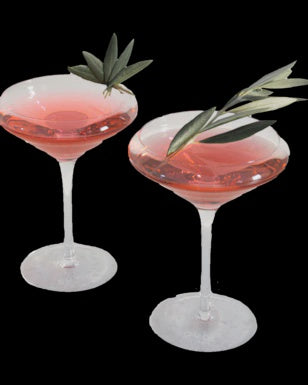 Gift Box of Smartini Cocktail glasses