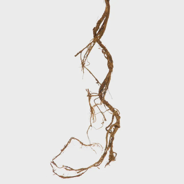 Twig Vine Garland 95cm - Brown